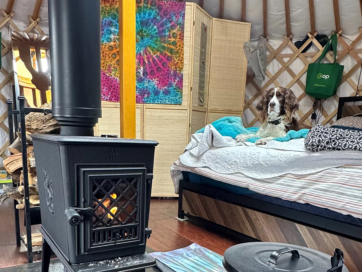 A stove placed at the center of a yurt