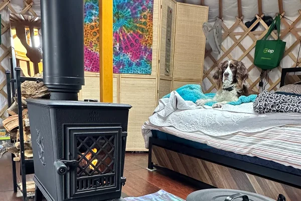 A stove placed at the center of a yurt